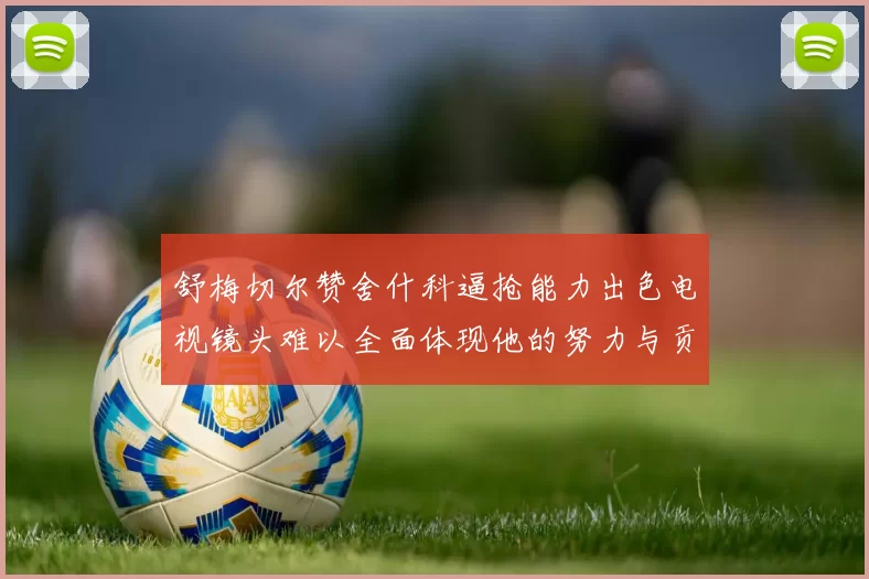 舒梅切尔赞舍什科逼抢能力出色电视镜头难以全面体现他的努力与贡献